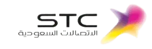 شريك النجاح